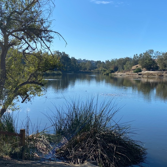 Meet your Posher, Mckayla - Picture 1 of 1